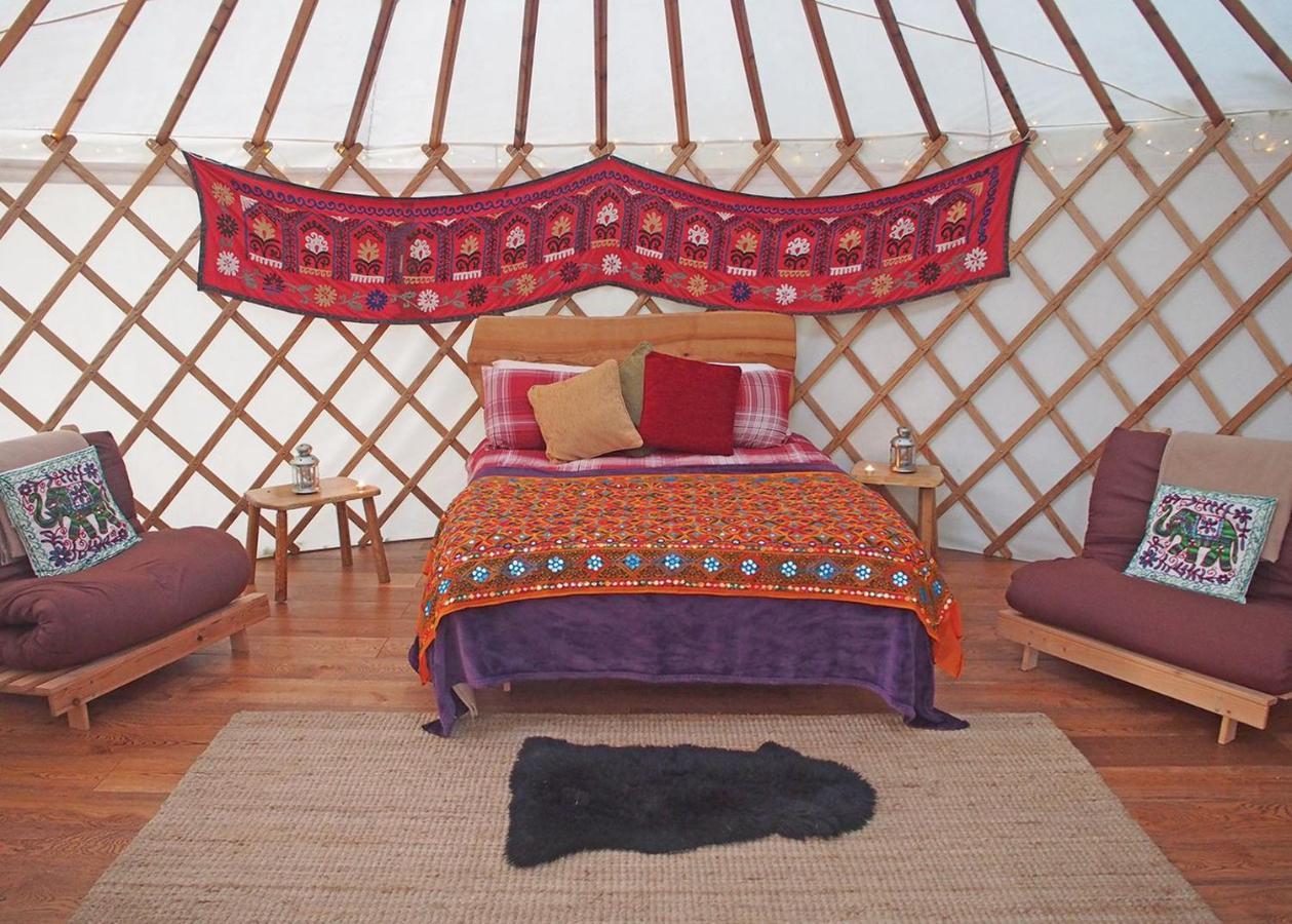Florence Springs Glamping Gumfreston Luaran gambar